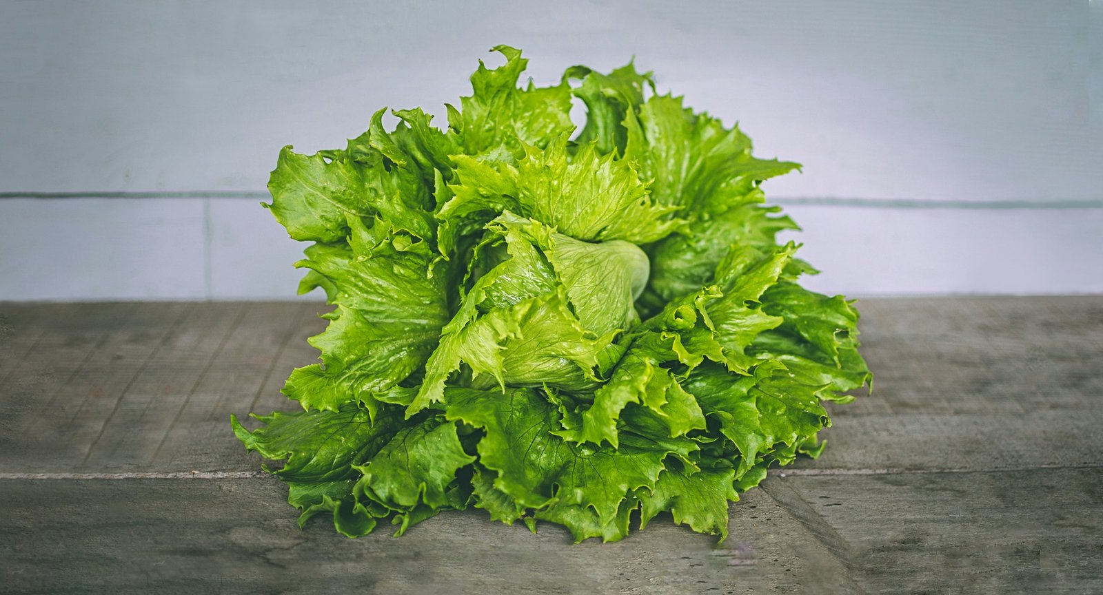 Hydroponic farming system growing leafy greens