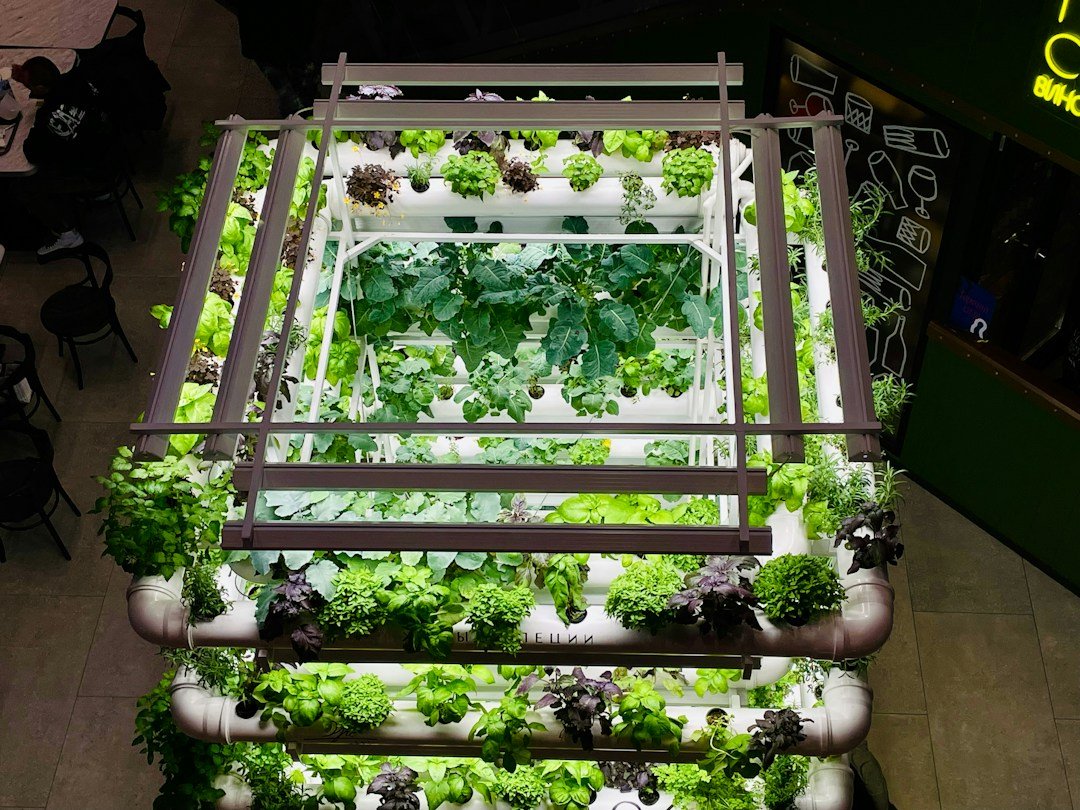 Hydroponic growing pipes and plants in a greenhouse