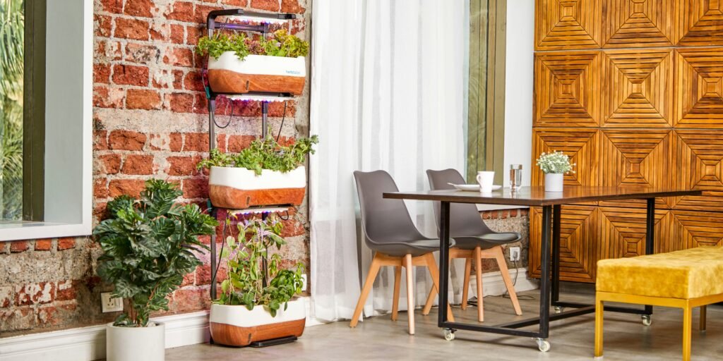 Compact indoor hydroponic garden growing fresh leafy greens at home