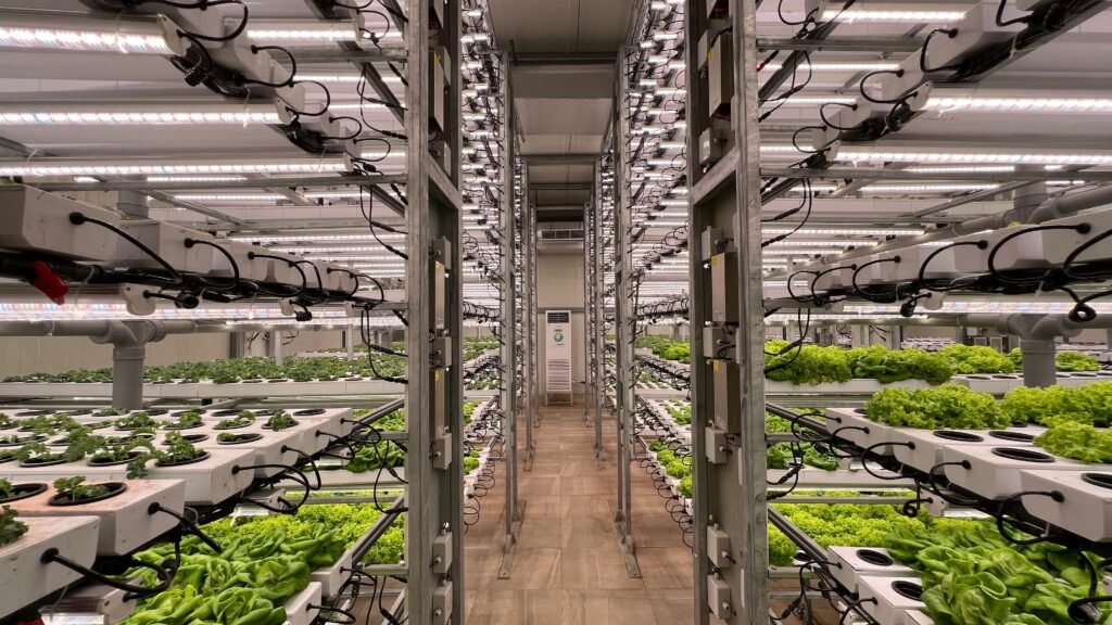 Modern hydroponic greenhouse with multiple growing levels and leafy greens