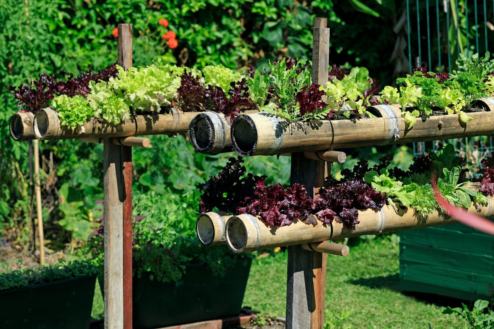 Vertical hydroponic growing system