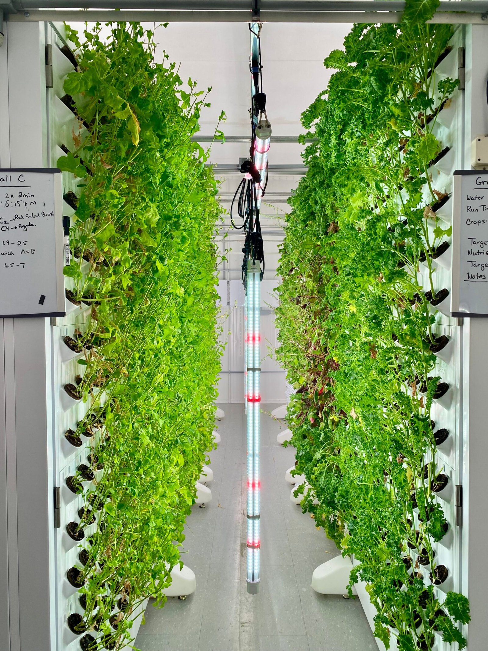 Vertical hydroponic growing system